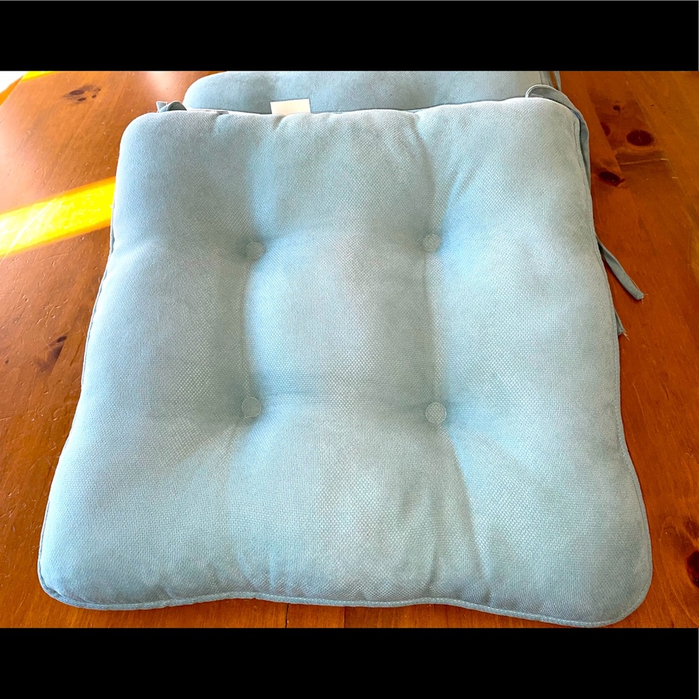 Thick comfy Pier One chair pads. Beautiful blue.